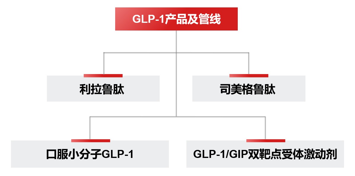 1724663289945244.jpg GLP-1产品矩阵_截图_有边.jpg